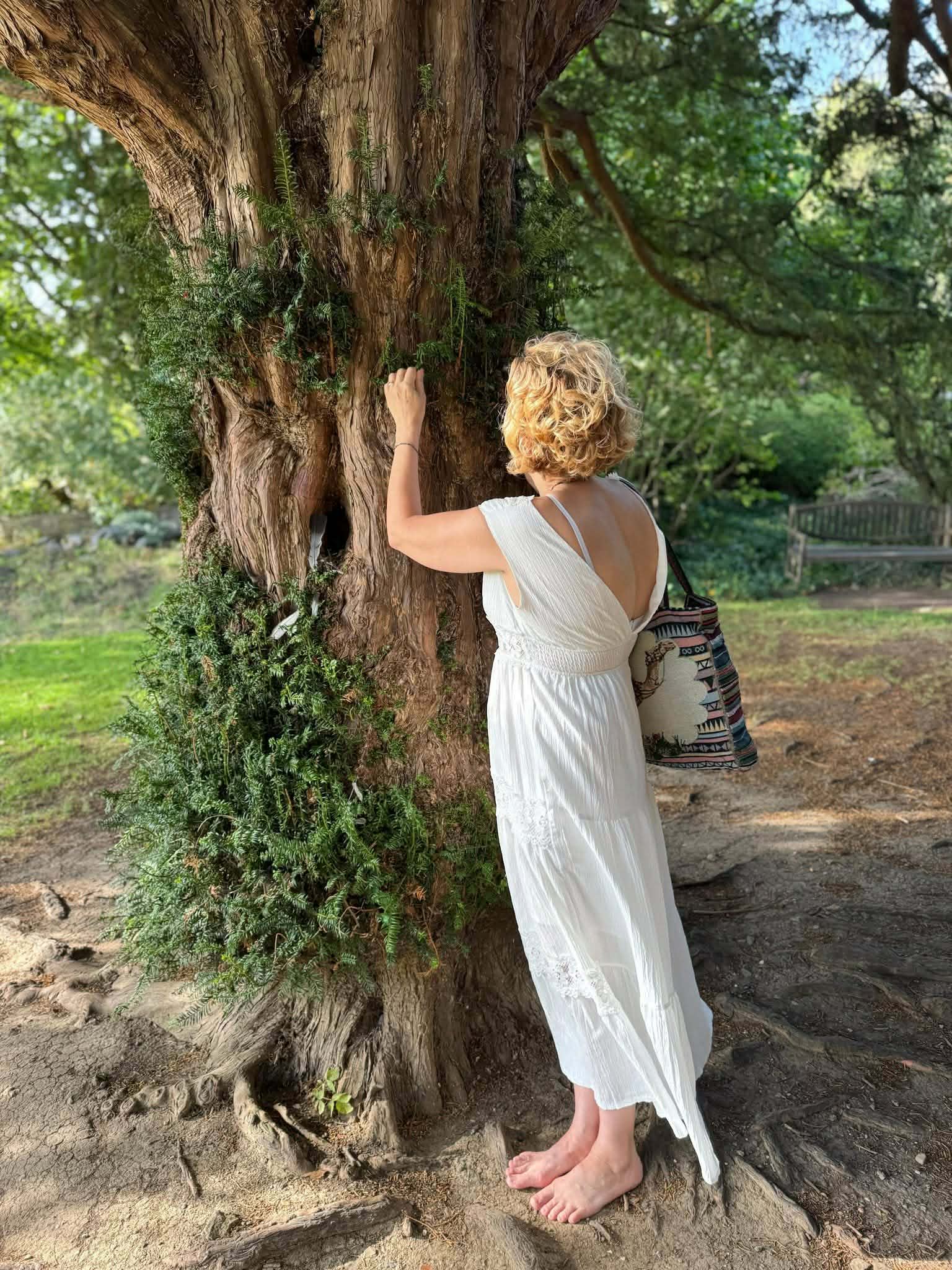 Connection with earth energy